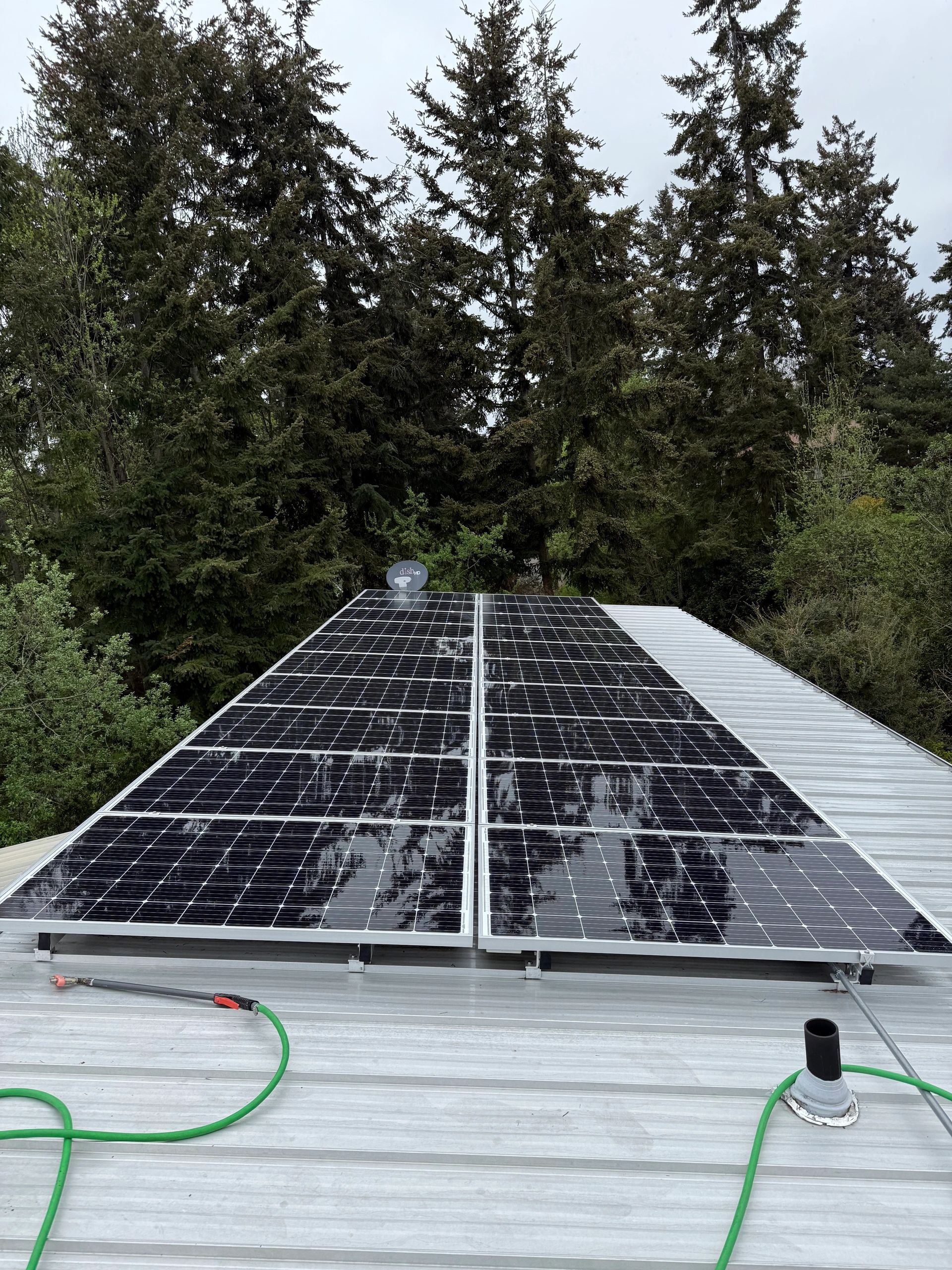Roof Cleaning
